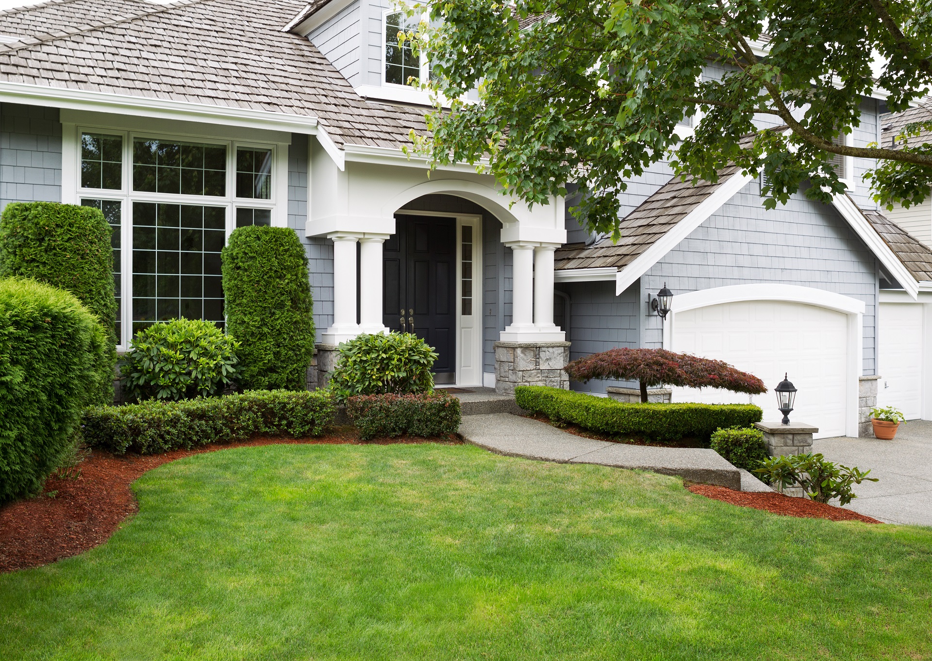 Well-maintained backyard